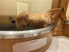 -海澜飞马水城