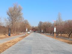 -野鸭湖国家湿地公园