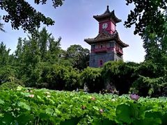 -四川大学(华西校区)