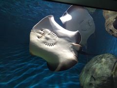 -福州罗源湾海洋世界旅游区