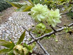 -白塘生态植物园