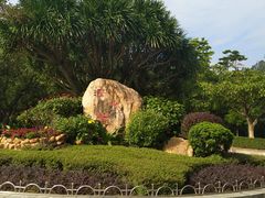 -滴水岩森林公园