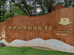 -泗洪洪泽湖湿地景区