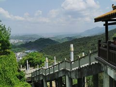 -铁山坪森林公园