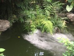 -金鸡山公园