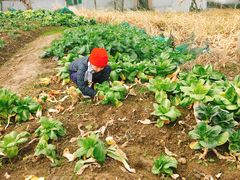 -乡乐园蟹庄·阳澄湖农家乐