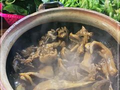 -霞姐屯昌枫木香草鸭店(海螺店)