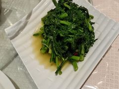 -喀什骑仕大观园