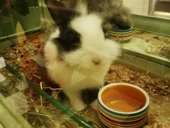 -龙猫仔乐园(惠福东路店)