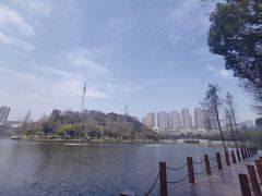 -重庆彩云湖湿地公园