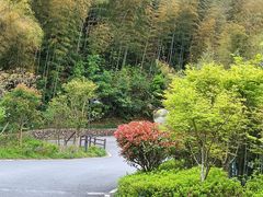 -宁海安岚·南溪阁全日餐厅