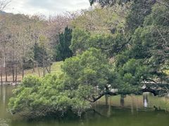 -广州市白云山风景名胜区