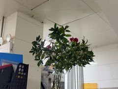 -久宴·天目湖大鱼头(恐龙园店)