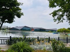 -上海长兴岛郊野公园