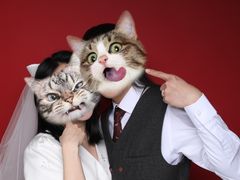 -bobo高端证件照工作室(三元桥店)
