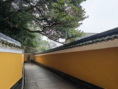 -普陀山风景区-佛顶山
