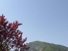 -少华山国家森林公园