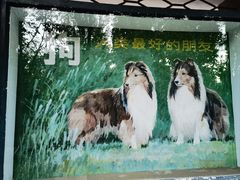 -北京动物园