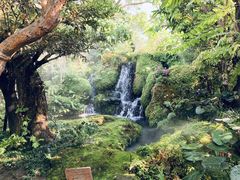 -Chom Cafe and Restaurant