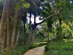 -三亚湾海居铂尔曼度假酒店