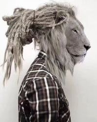 -Every Day Hair Studio