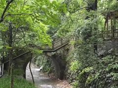 -芍药居北里