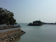 -大湾区中央湿地公园