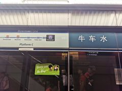 -松發肉骨茶(牛车水店)