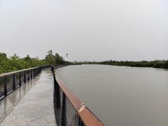 -东寨港红树林旅游区