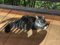 -巴倒烫陆派火锅山庄(南山总店)