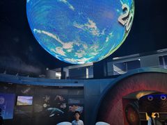 -安徽省地质博物馆