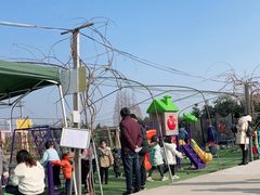-小鱼草莓采摘园农家乐·小鱼餐厅