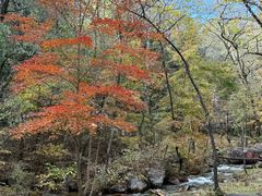 -玉渡山自然风景区