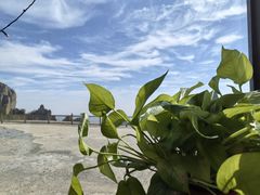 -白草畔自然风景区