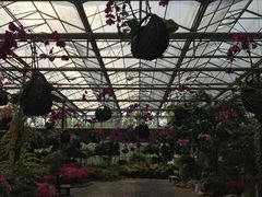 -南通洲际绿博园