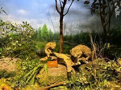 -陕西自然博物馆