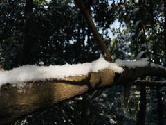 -缙云山景区