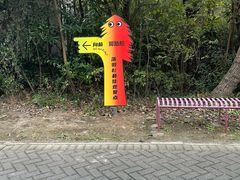 -上海海湾国家森林公园