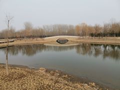 -东郊湿地公园