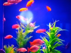 -乌鲁木齐海洋馆