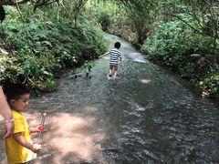 -桤木河湿地公园