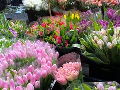 -循礼门鲜花花市(武汉循礼门店)