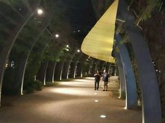 -布里斯班南岸公园