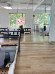 教室-Real Pilates优体普拉提