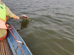 -吉姆丽德乡村西餐厅(闵行交大店)