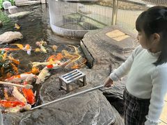 -南昌动物园