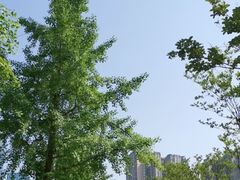 -华润·二十四城