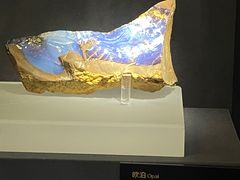 -湖南省地质博物馆