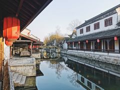 -鲁镇