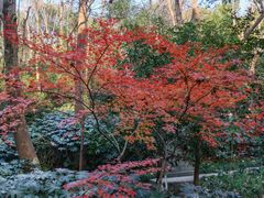 -杭州半山国家森林公园